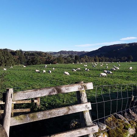 Ellerton Lodge Bed And Breakfast Swaledale Ричмънд Екстериор снимка