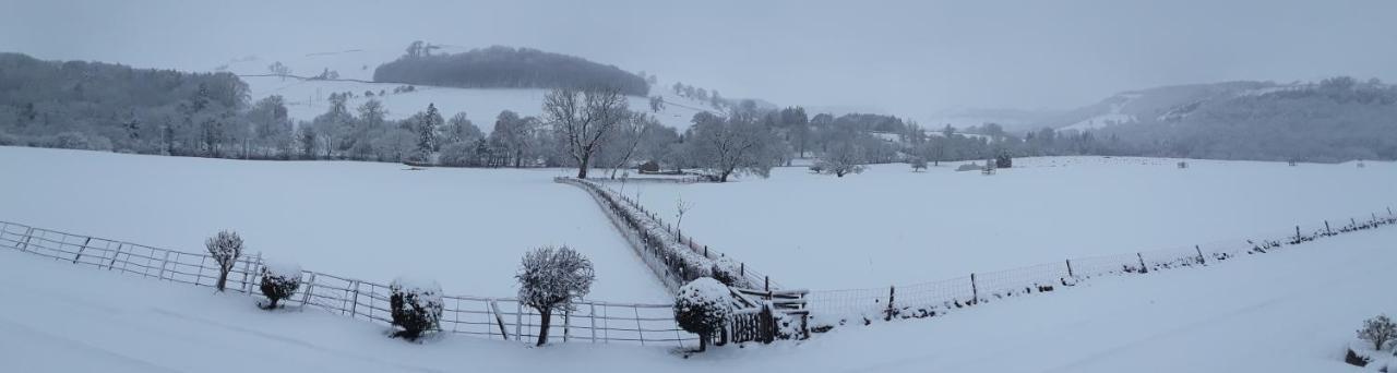 Ellerton Lodge Bed And Breakfast Swaledale Ричмънд Екстериор снимка