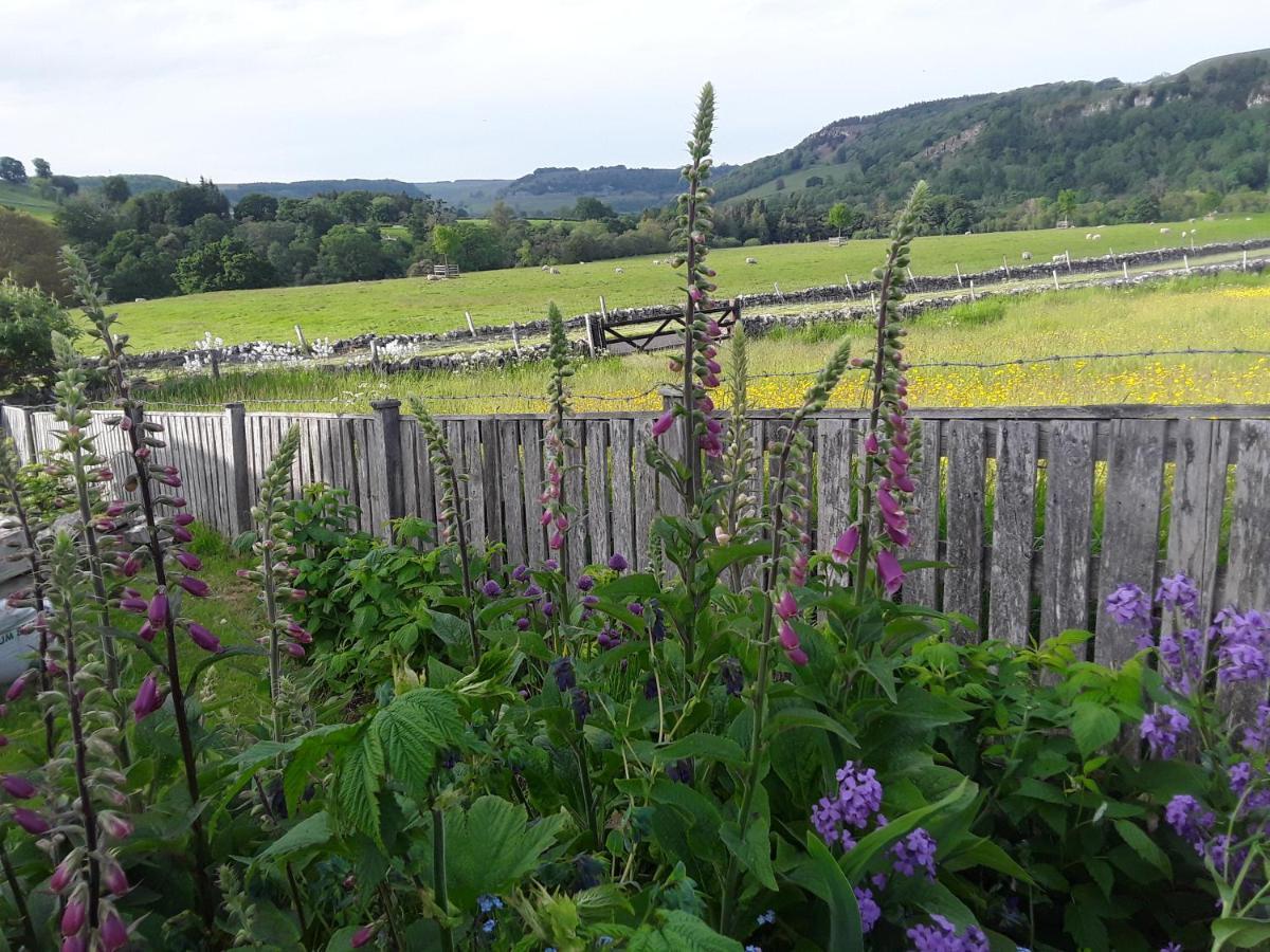 Ellerton Lodge Bed And Breakfast Swaledale Ричмънд Екстериор снимка