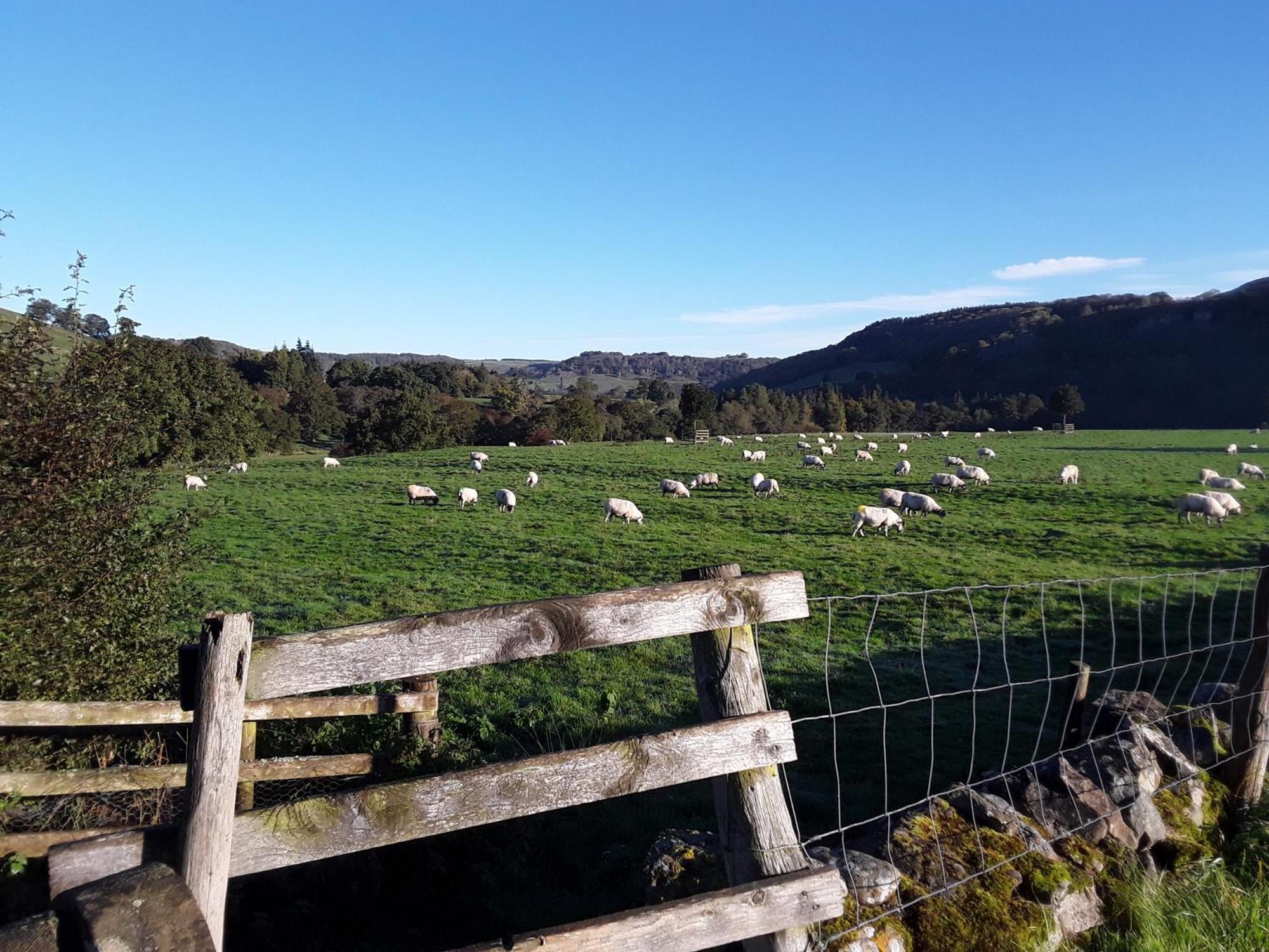 Ellerton Lodge Bed And Breakfast Swaledale Ричмънд Екстериор снимка