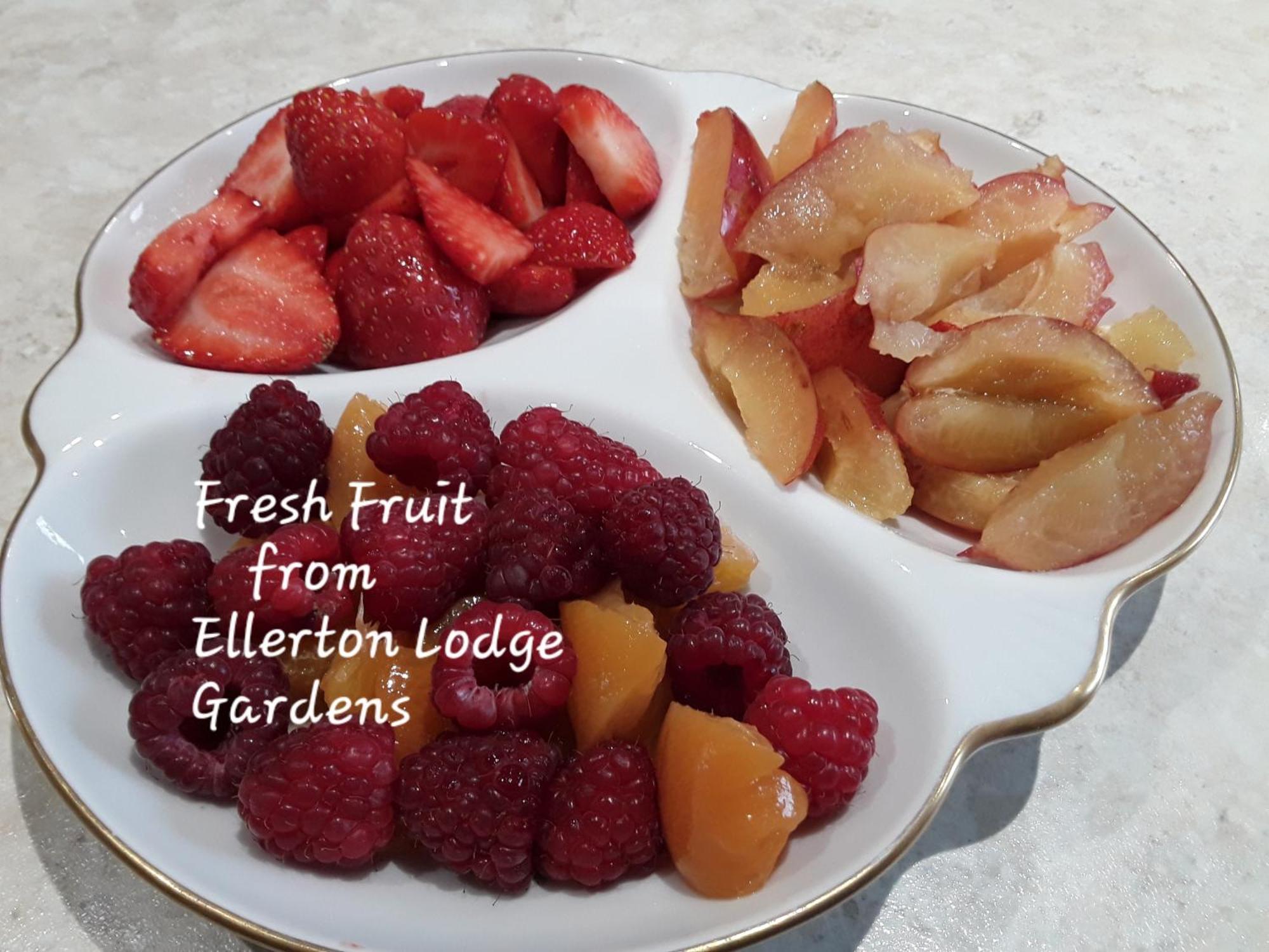 Ellerton Lodge Bed And Breakfast Swaledale Ричмънд Екстериор снимка