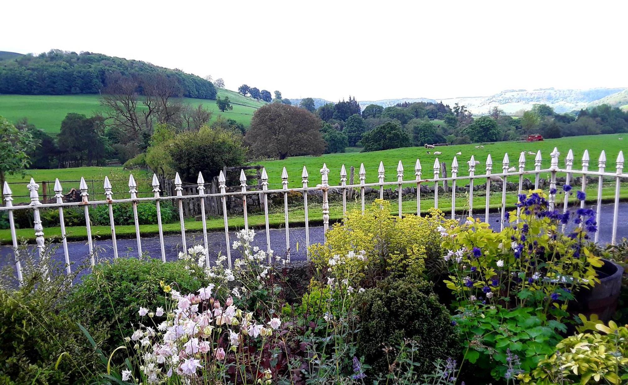 Ellerton Lodge Bed And Breakfast Swaledale Ричмънд Екстериор снимка